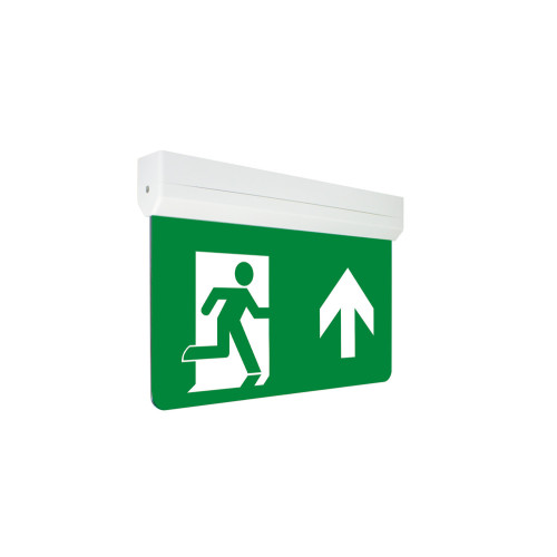 EMERGENCY EXIT SIGN VIEWING Holder 1W 3HR  - Requires Legend